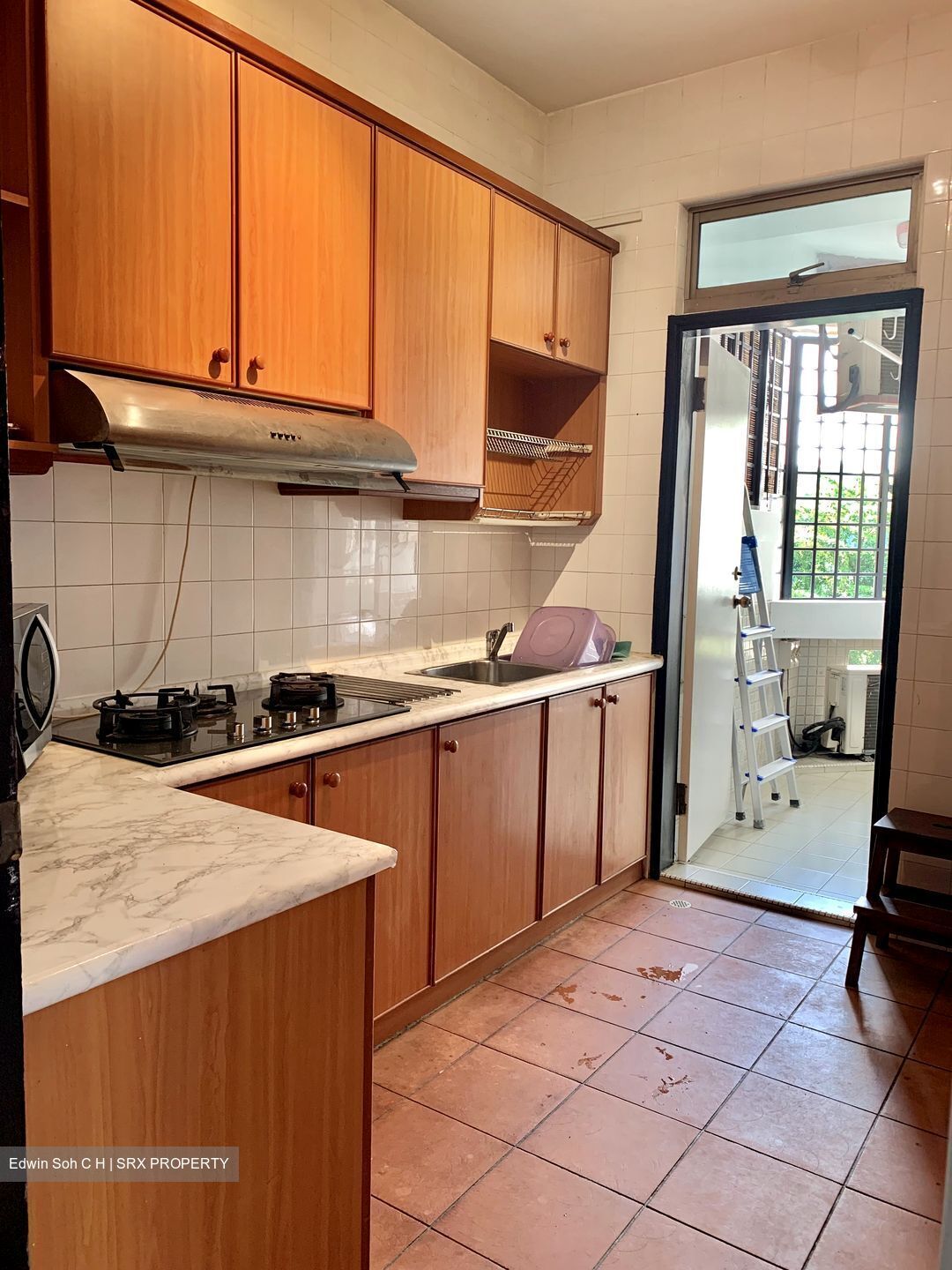 Buona Vista Gardens (D5), Condominium #426840821